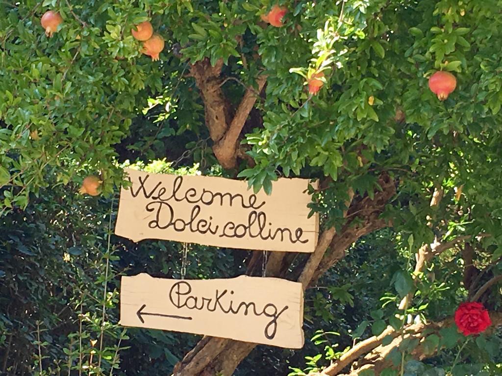 Borgo Dolci Colline Villa Castiglion Fiorentino Dış mekan fotoğraf